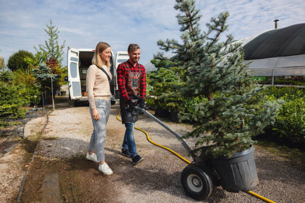 Best Palm Tree Trimming  in Cascade, IA